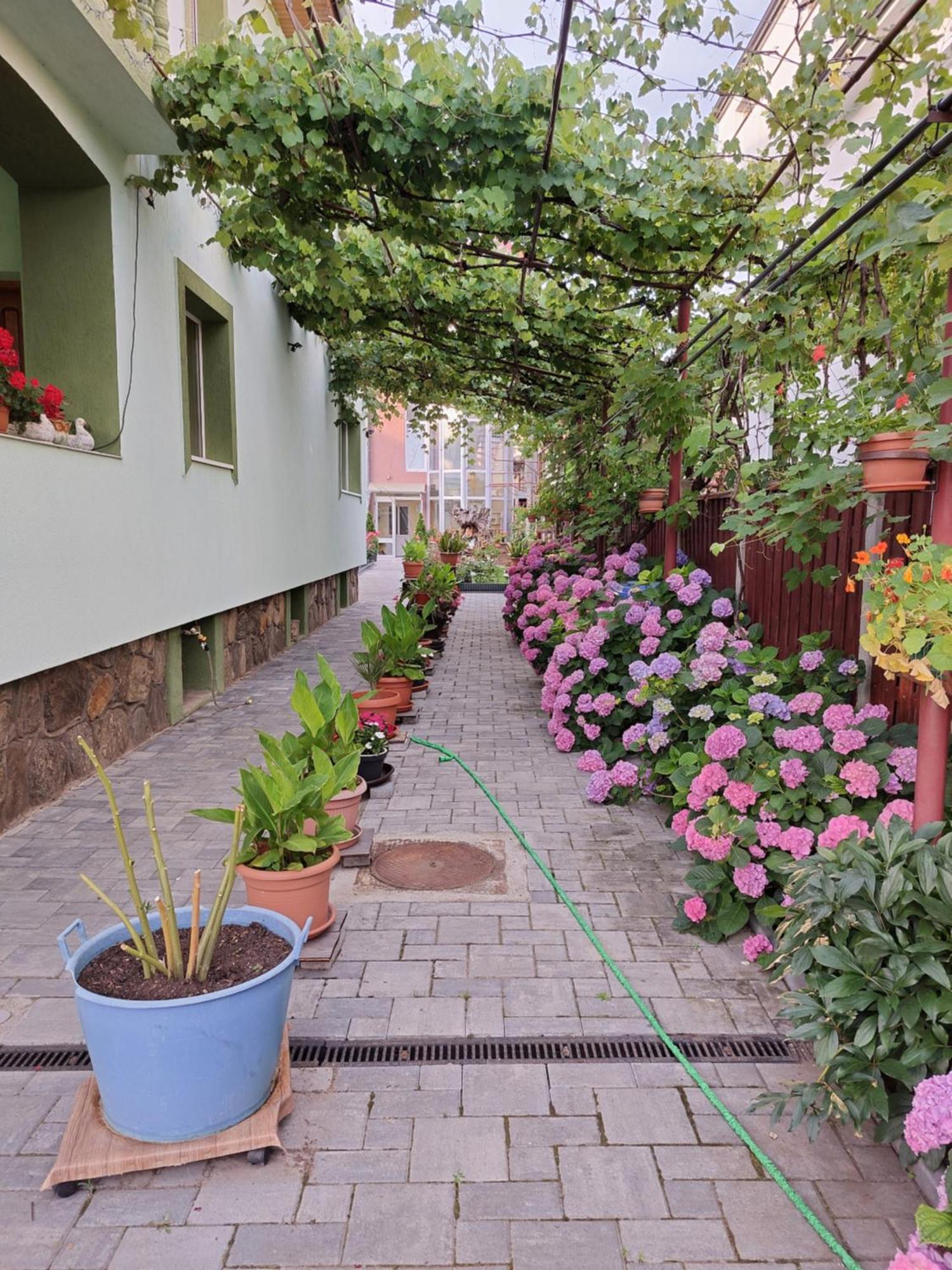 Rodica Apartment Hermannstadt Exterior foto
